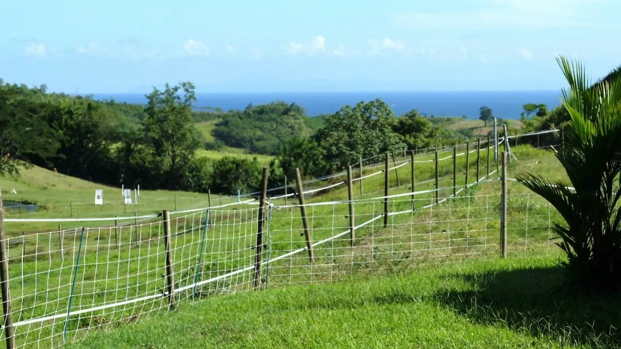 別荘 Rivière-Salée La Ferme Des Etangsヴィラ マルティニーク