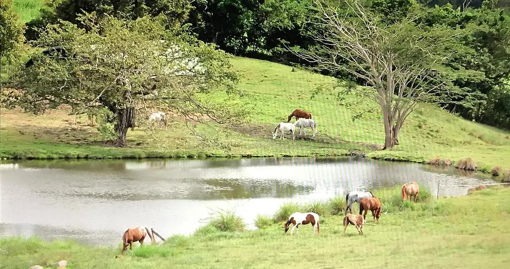 הוילה Riviere-Salee La Ferme Des Etangs 0*,